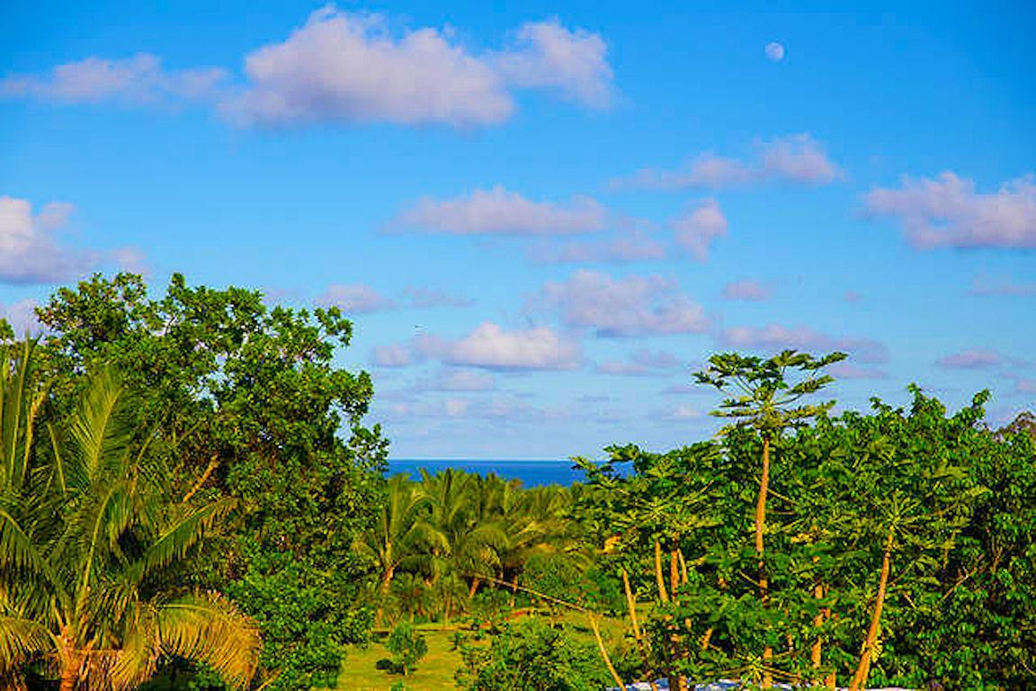 Pahoa Kirpal Meditation And Ecological Center מראה חיצוני תמונה