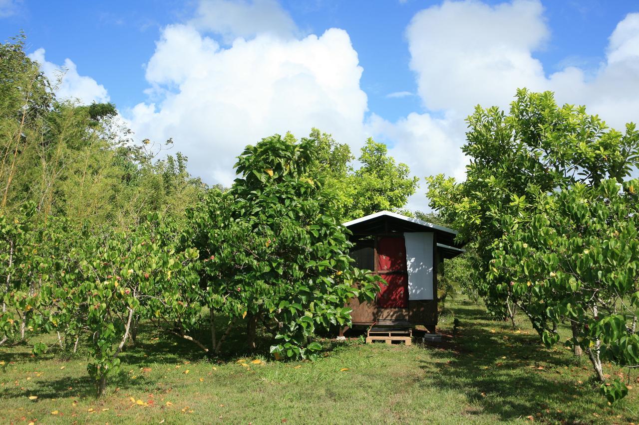 Pahoa Kirpal Meditation And Ecological Center מראה חיצוני תמונה