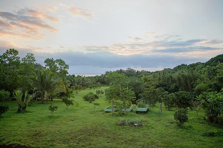 Pahoa Kirpal Meditation And Ecological Center מראה חיצוני תמונה