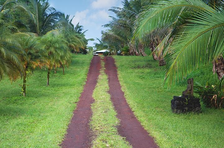 Pahoa Kirpal Meditation And Ecological Center מראה חיצוני תמונה