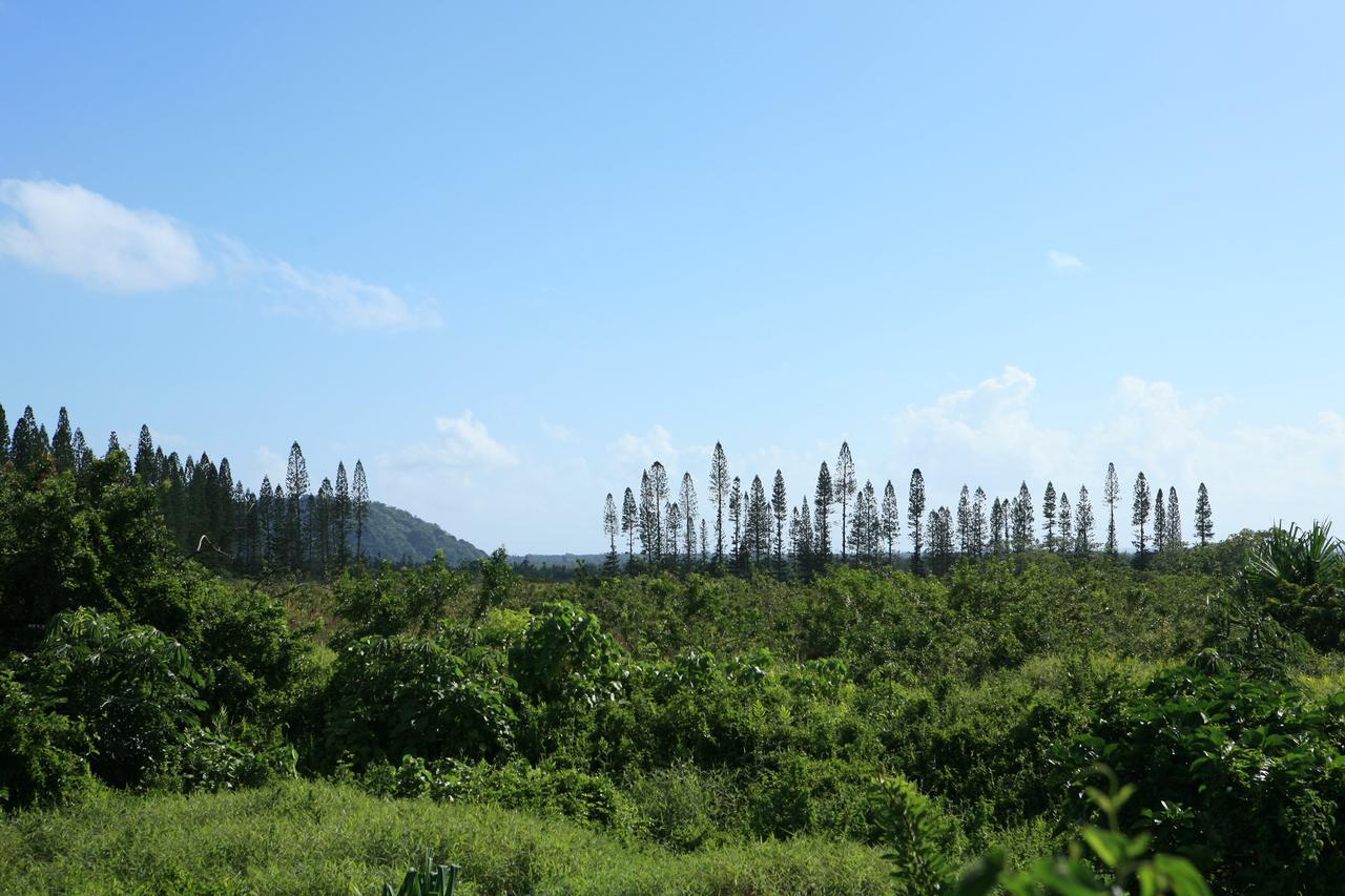 Pahoa Kirpal Meditation And Ecological Center מראה חיצוני תמונה